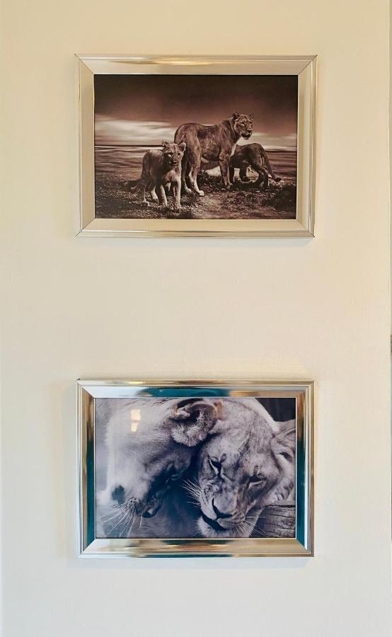 The Sleeping Lion - Dunoon Holiday Home Eksteriør bilde